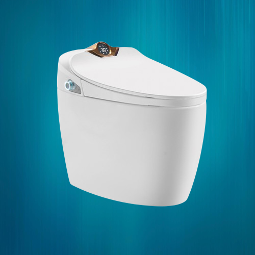 Bồn cầu thông minh Q10