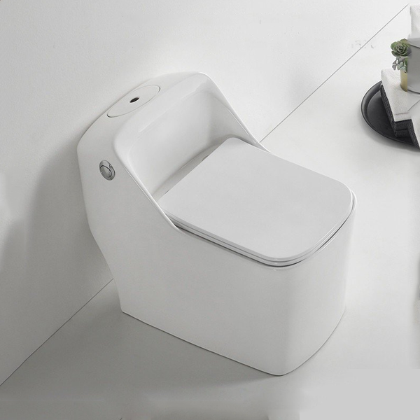 Bồn cầu 1 khối 2010