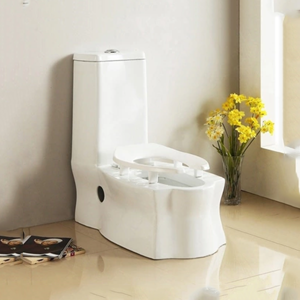 Bồn cầu 1 khối 2843