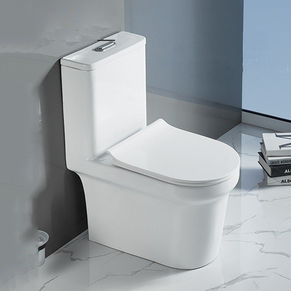 Bồn cầu 1 khối 2889