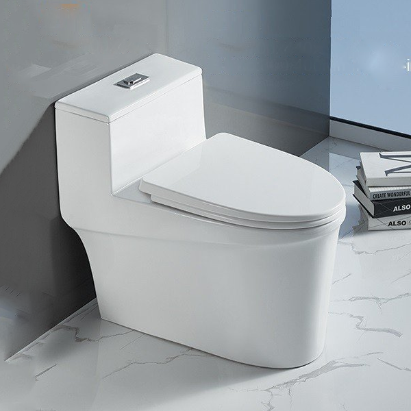 Bồn cầu 1 khối 2891