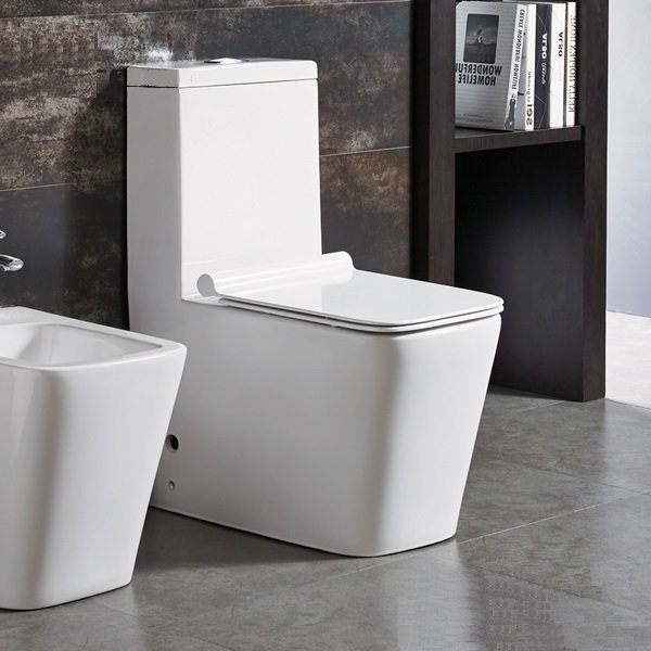 Bồn cầu 1 khối 2895D